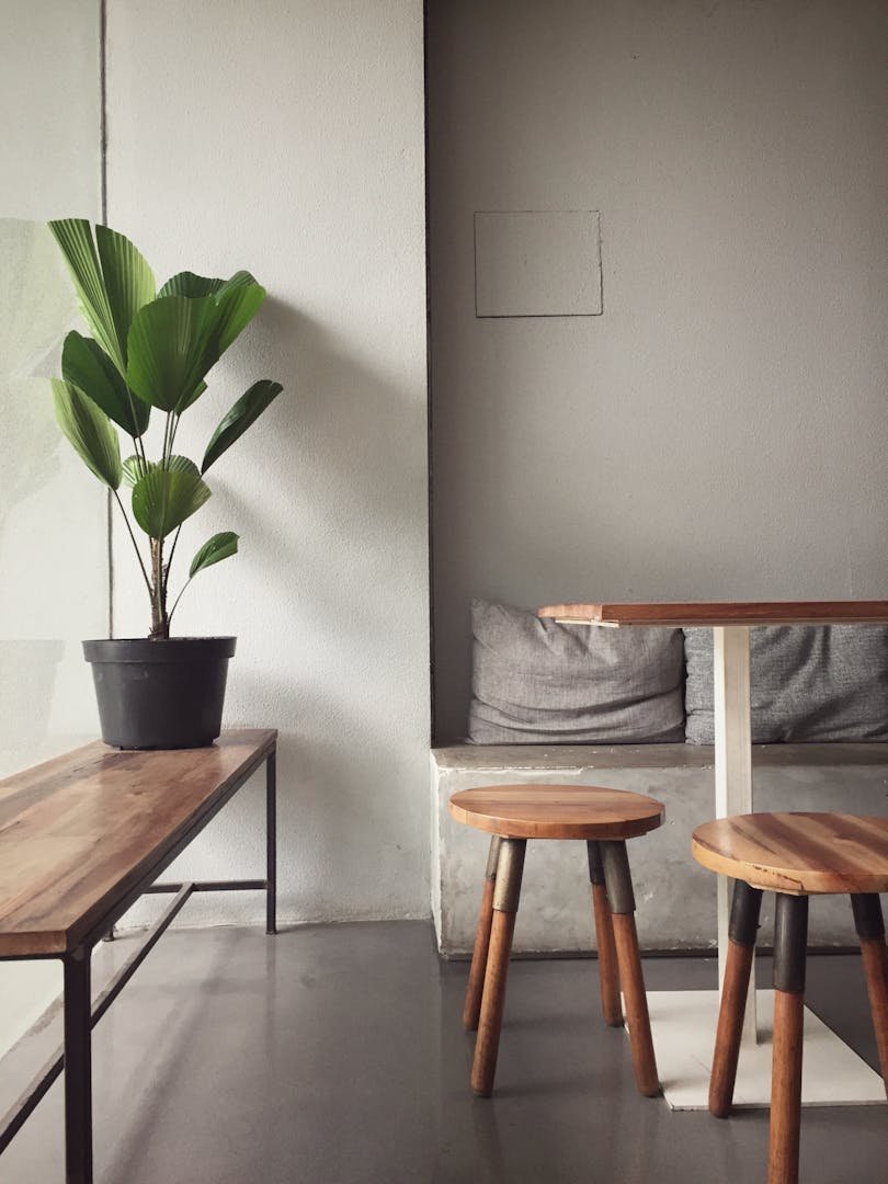 Decoracion zen con Feng Shui - plantas y armonia